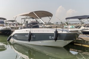 Eden590 scaled